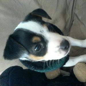 Meet your Posher, Ebony